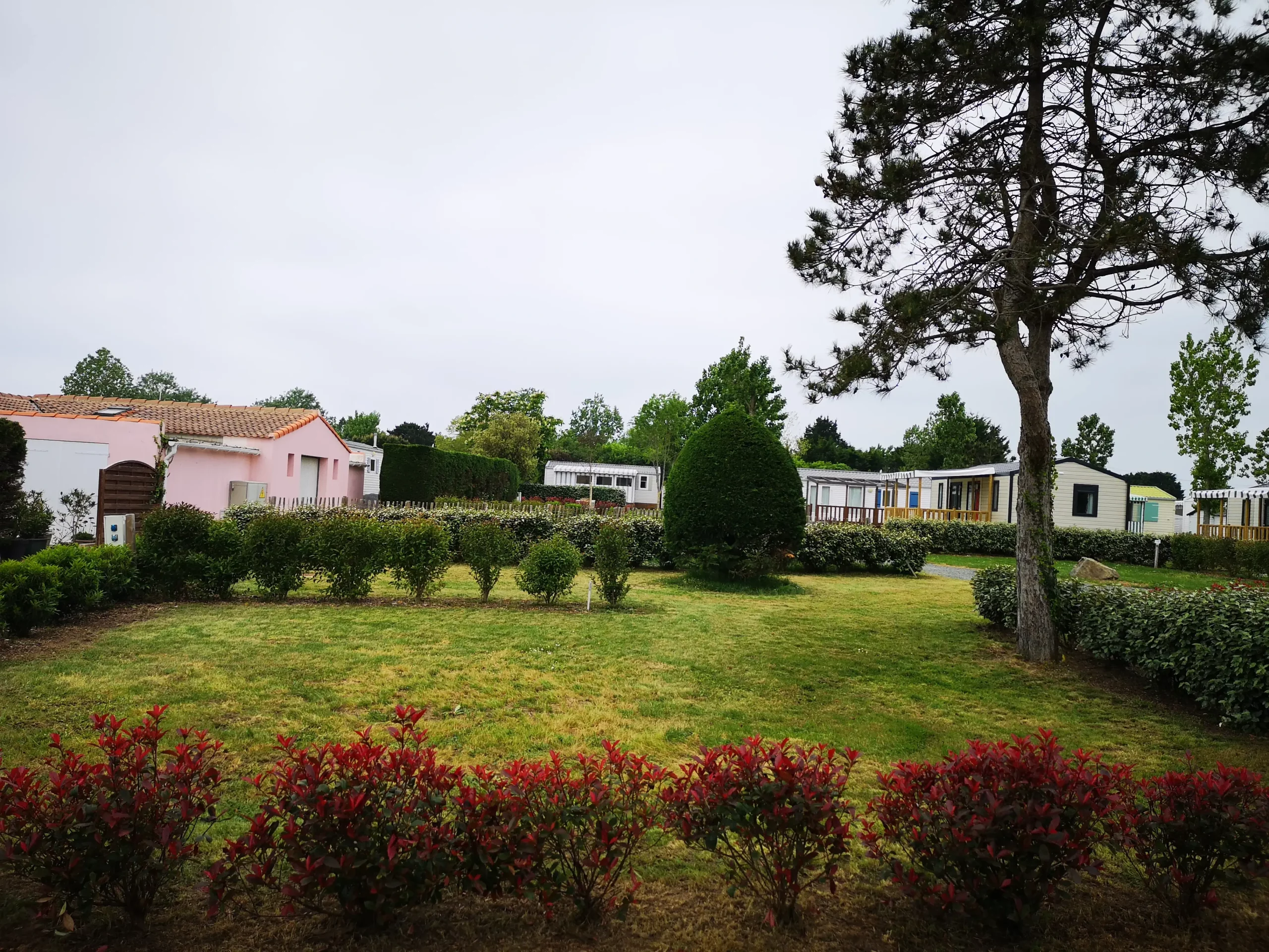 Maisons et arbustes dans un jardin verdoyant.