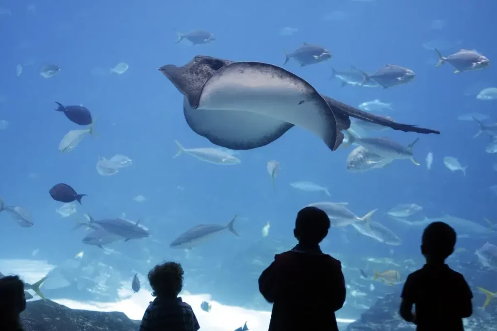 Enfants regardant des poissons et une raie en aquarium.