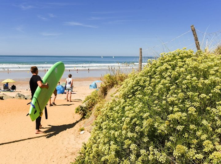 Surfeur observant la mer depuis une plage ensoleillée.