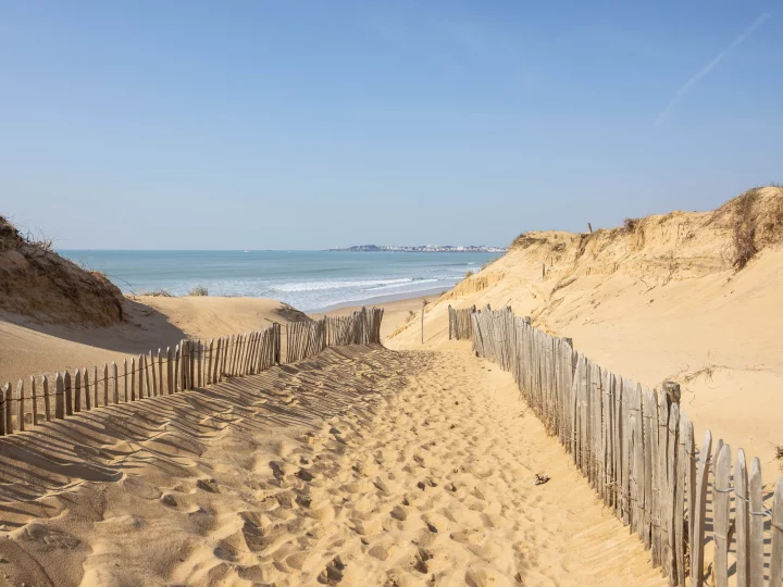Sentier viticole entre dunes de sable et océan.
