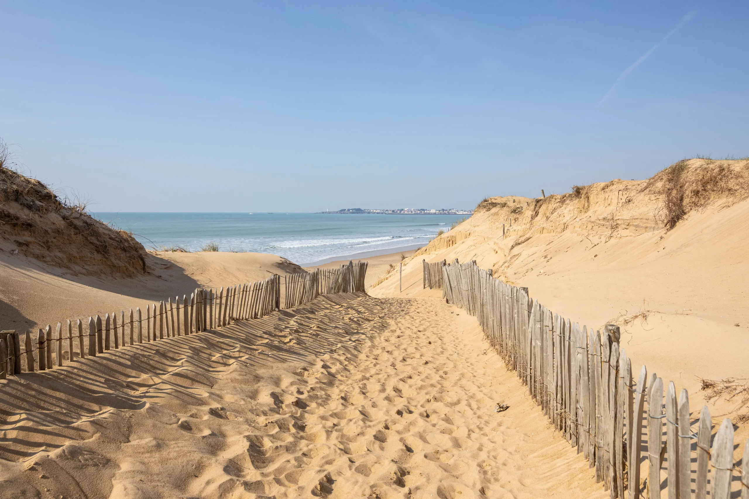 Sentier viticole entre dunes de sable et océan.