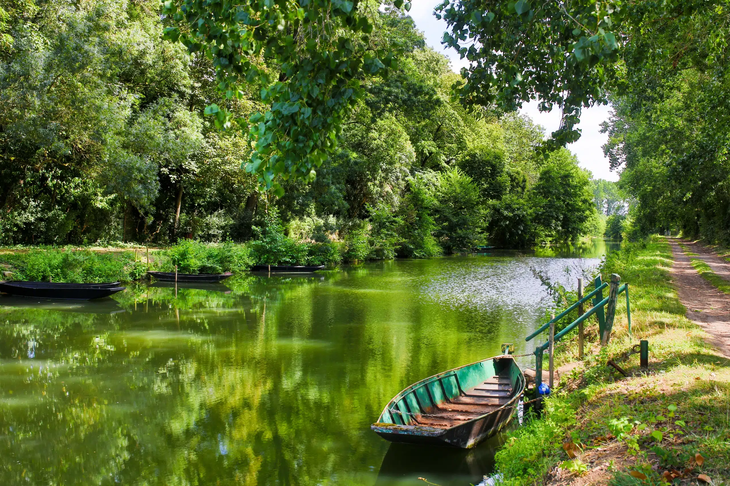 Barque sur rivière verdoyante entourée d'arbres.