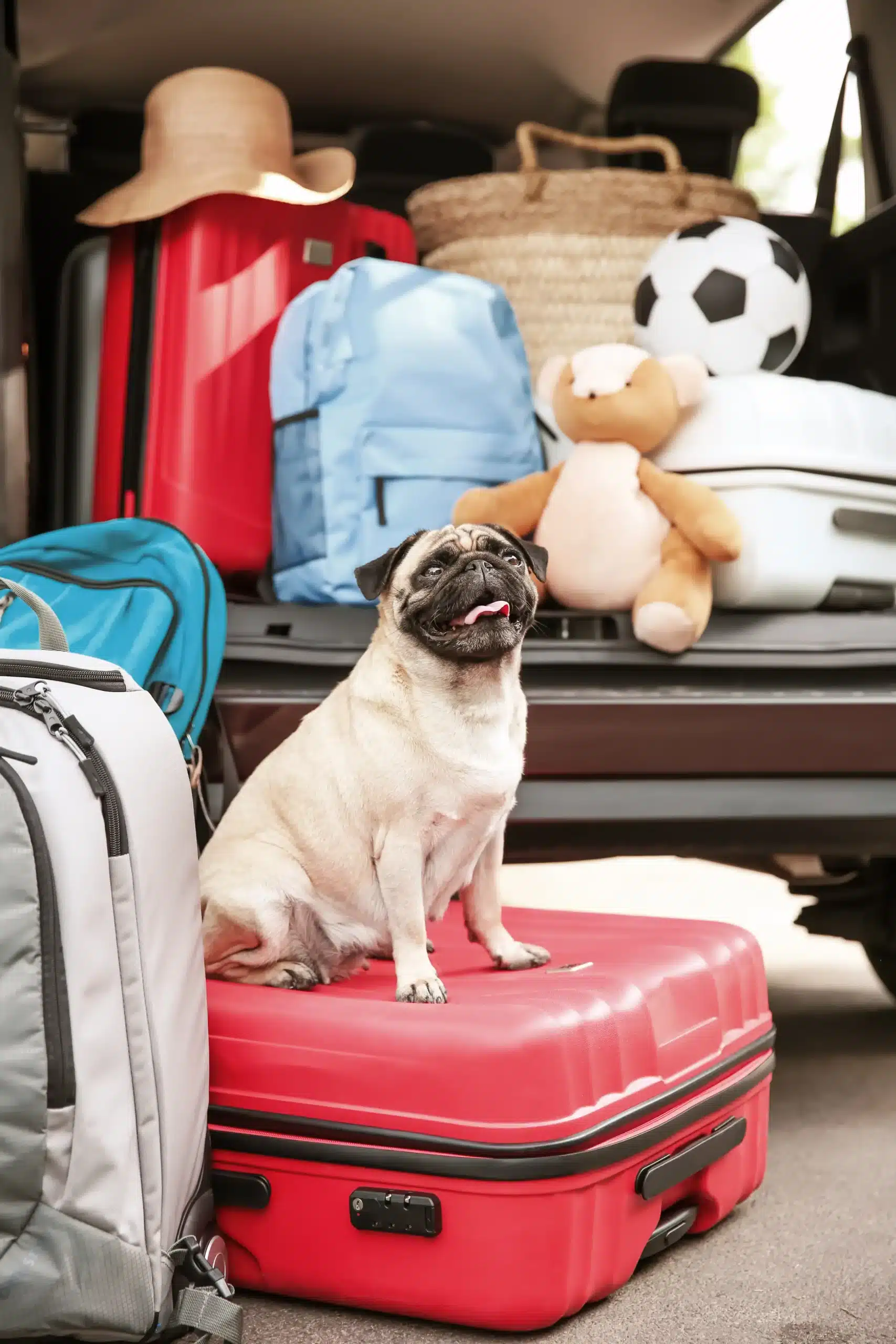 Avec notre promotion Early Booking : Économisez jusqu'à 20% sur le prix de votre camping à Bretignolles.