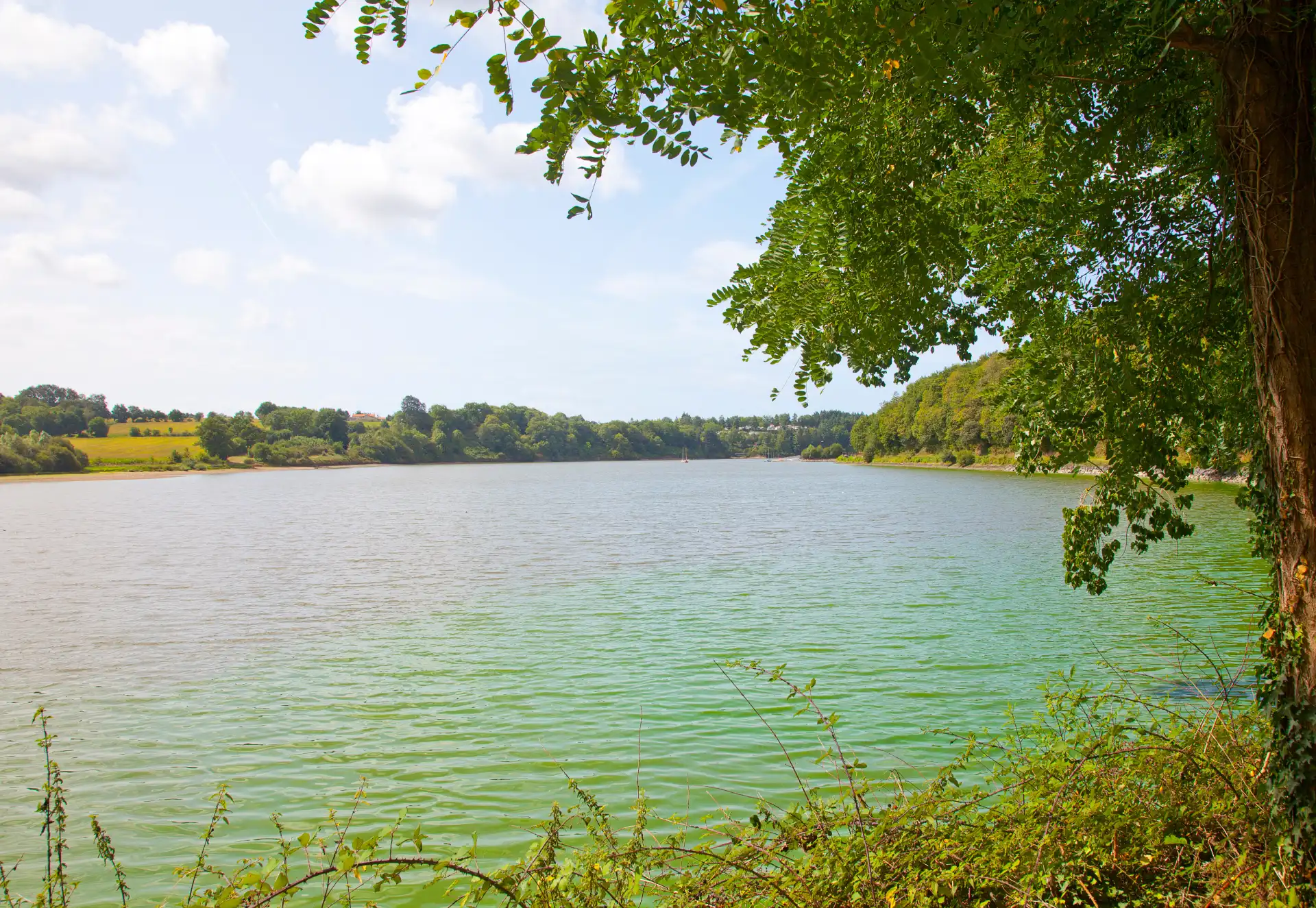 Le village de La Chaize-Giraud entouré de nature verdoyante en Vendée, ici le lac du Jaunay